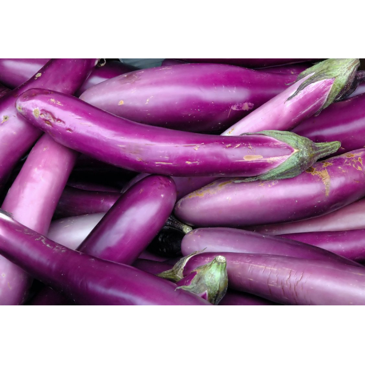 Picture of Chinese Eggplant