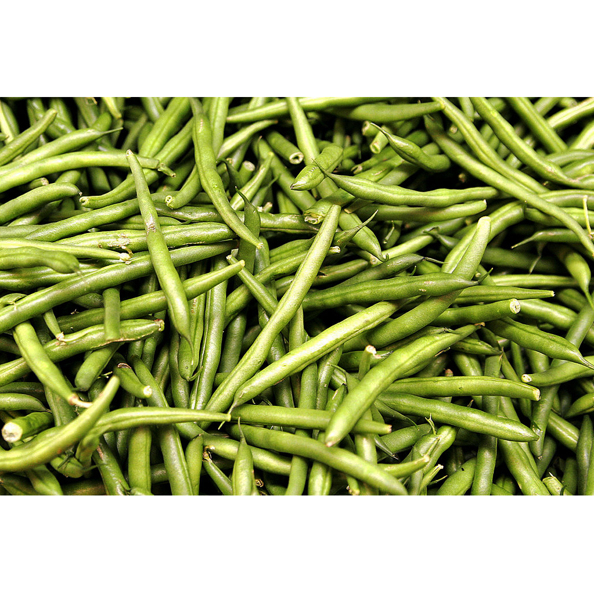 Picture of Green Bean