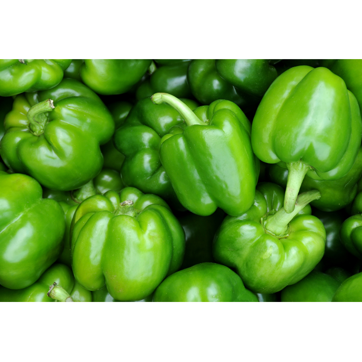 Picture of Green Pepper