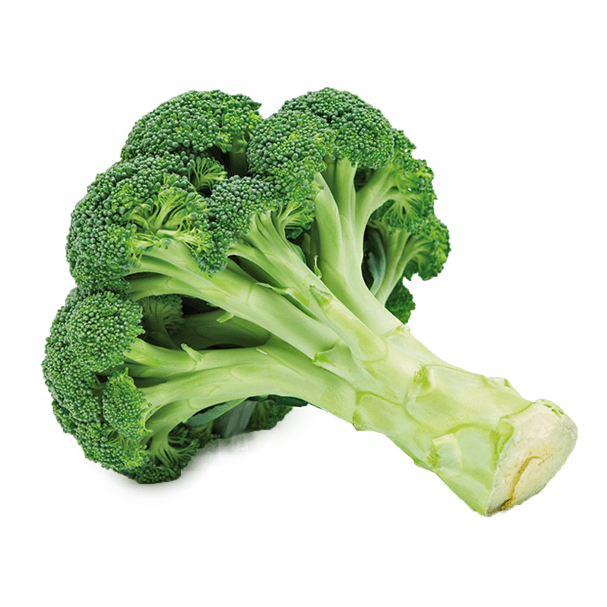 Picture of Crowned Broccoli