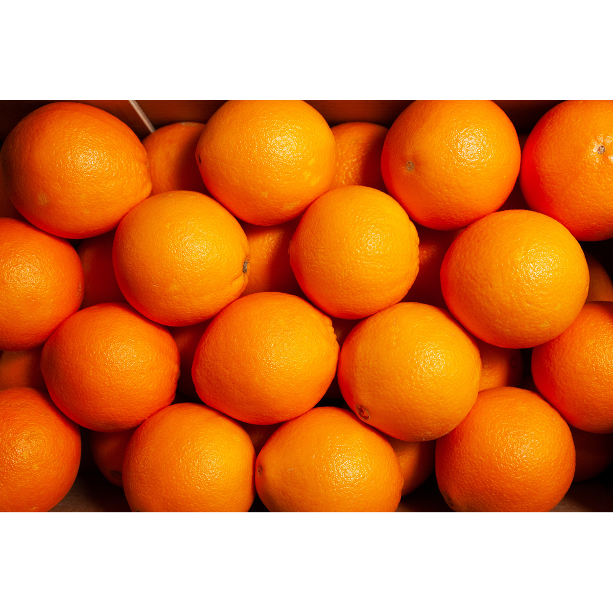 Picture of Orange